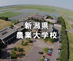 新潟県 農業大学校