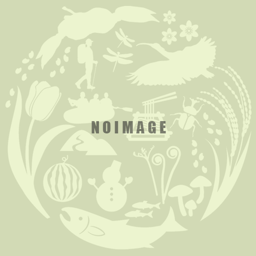 画像はありません