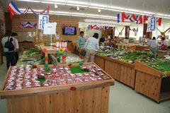 四季彩館ベジぱーく-写真1