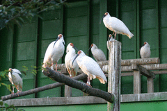 片野尾とき舞株式会社-写真1