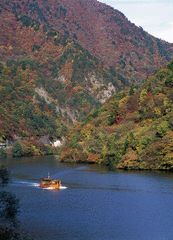 阿賀野川ライン遊覧船体験-写真1
