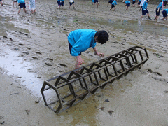 田植え体験-写真1