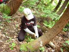 新潟県立こども自然王国-写真1