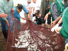 地引網体験-写真1