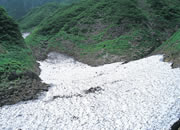 中荒沢万年雪ハイク-写真1