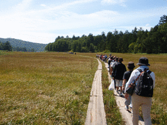 「魚沼から行く尾瀬」環境学習-写真1