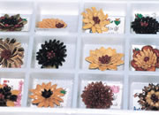 木の実のブローチづくり-写真1