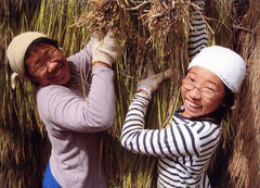 農家民宿　新助-写真1