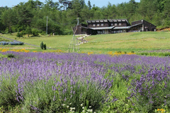 芦沢高原ハーバルパーク-写真1