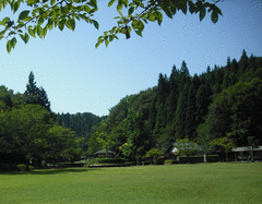 しらさぎ森林公園-写真1