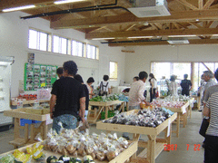 亀田・農産物直売所大地-写真2