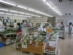 総合交流拠点施設：うららこすど（花とみどりのシンボルゾーン内）-写真2