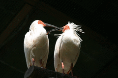 片野尾とき舞株式会社-写真2