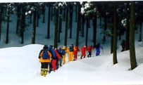 里山の環境学習(トレッキング)-写真2