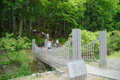 里山自然観察-写真2