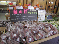 道の駅 漢学の里 しただ-写真2