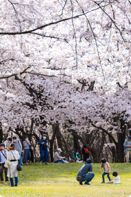 新潟県の風景写真2