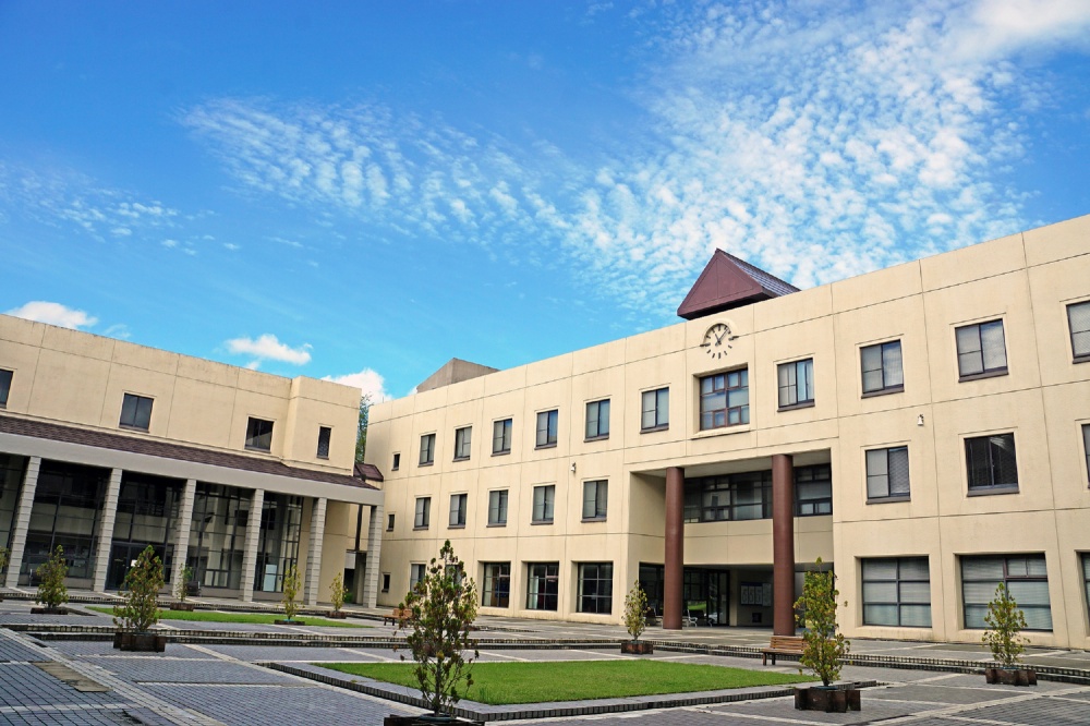 学校法人国際大学