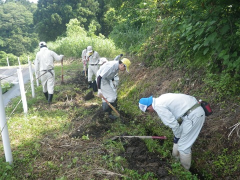 水路の江ざらいの様子　（高尾地区　作業写真）