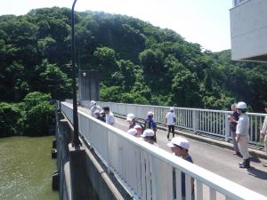ダム天端を見学する様子