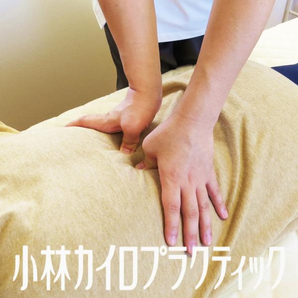 小林カイロプラクティック - 新潟県ホームページ