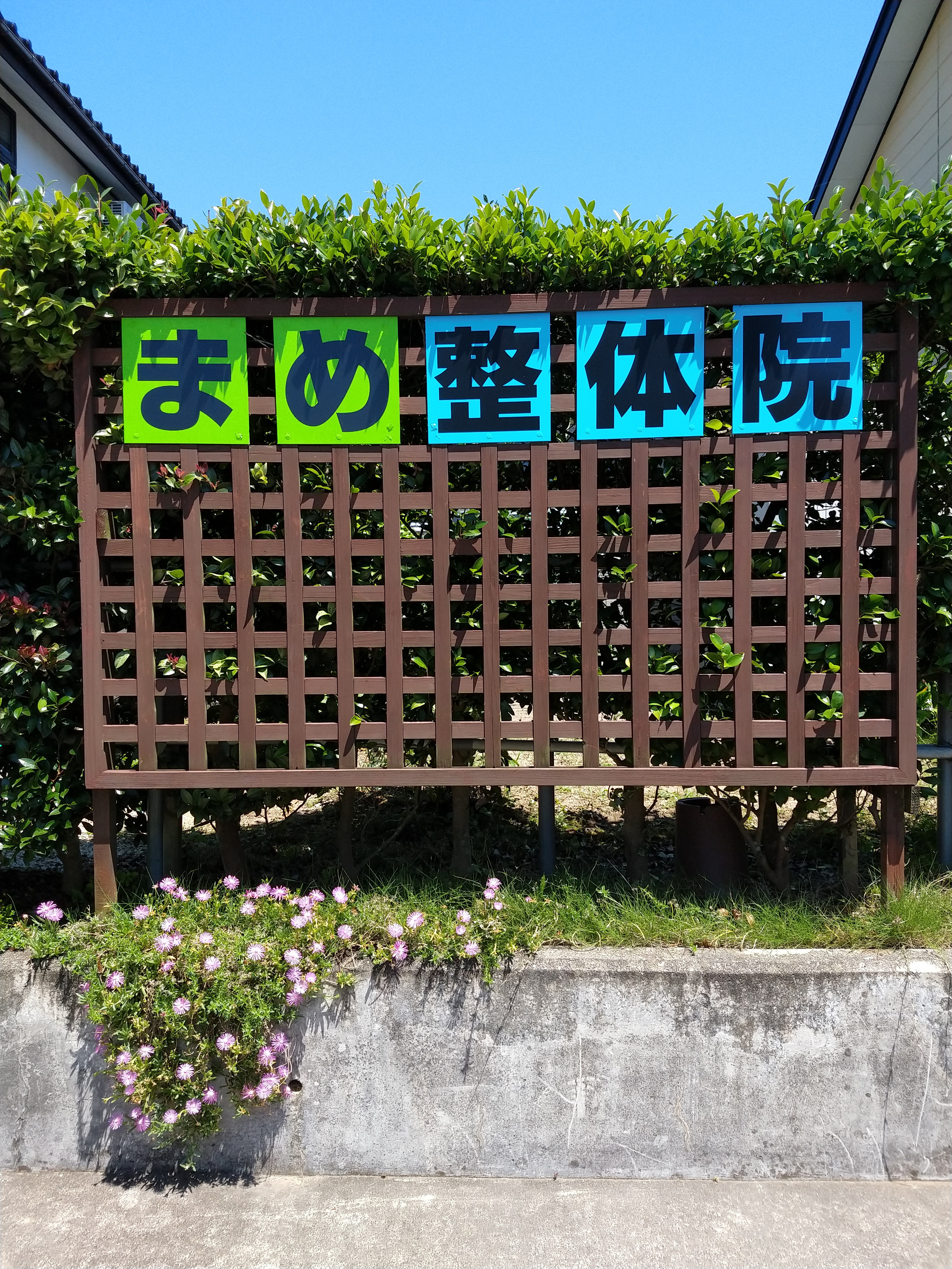 まめ整体院