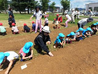 ひまわりの種を蒔く園児とのーりんジャーの画像