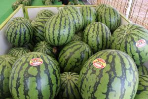 あぐりぱーく八色スイカ