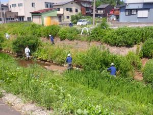 青田川クリーンアップ