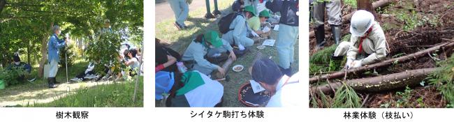 体験学習の様子