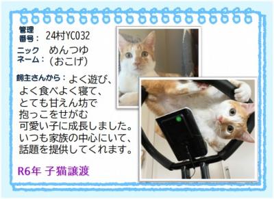 2024年　めんつゆ