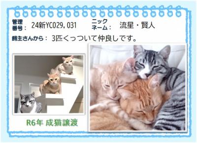 2024年　流星,賢人