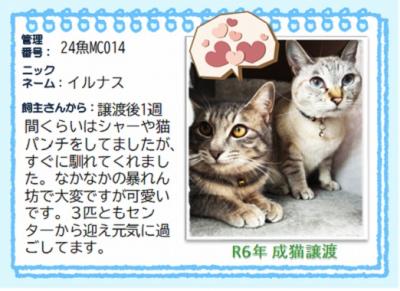 2024年　イルナス