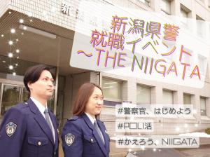 ザニイガタ写真