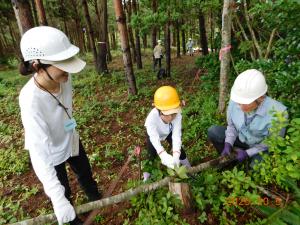 緑フェス　育樹体験の様子