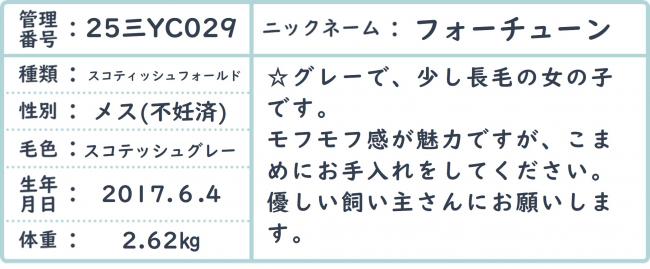 フォーチューン