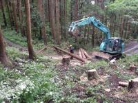 主伐作業の様子