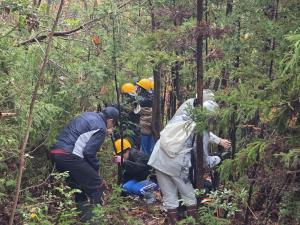 森林整備体験