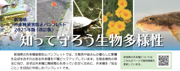 外来種被害防止パンフレット2025年版（改訂版）