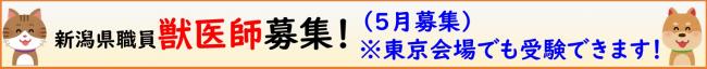 獣医師募集しています