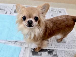 25柏YD003しずく3