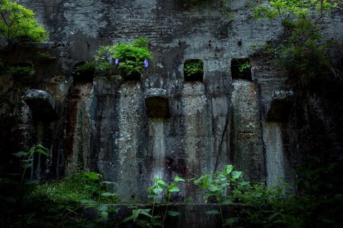 優秀賞「それぞれの成長」の画像