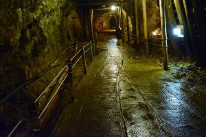 入選「黄金の搬出路」の画像