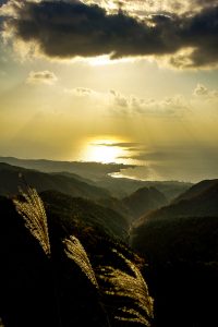 入選「山師の夢」の画像