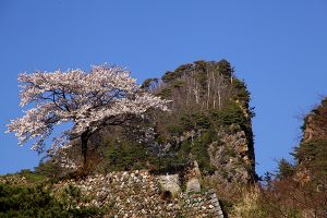 入選「割戸の彩り」の画像