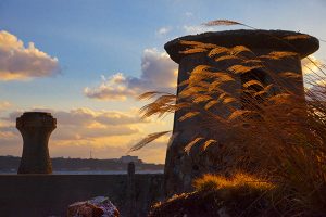 入選「うつろい」の画像