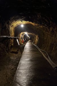 入選「道遊坑は続く」の画像