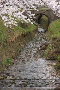 入選「桜の似合うアーチ橋」の画像