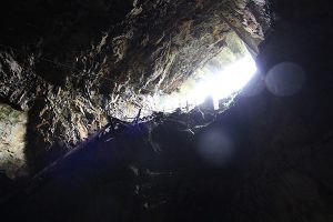 入選「繁栄の証し」の画像