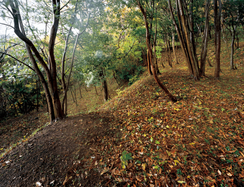 Tsurushi Aramachi Districtの画像